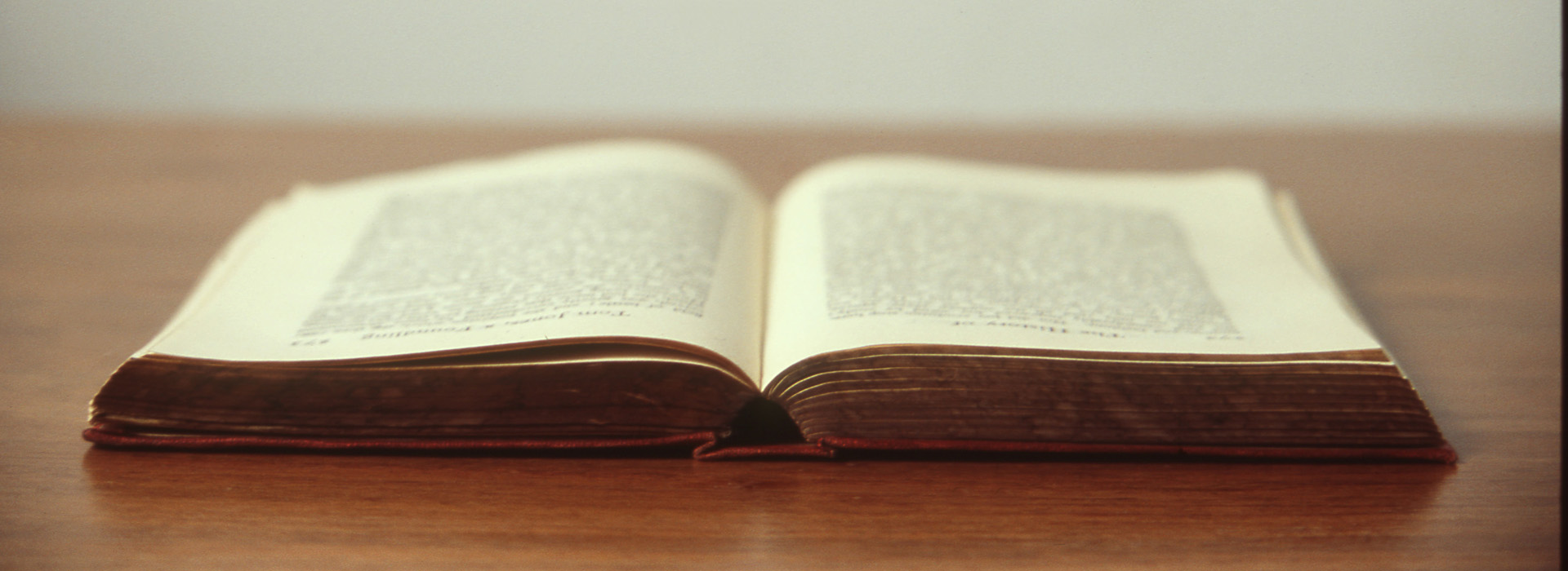 The Wolff Computer Group