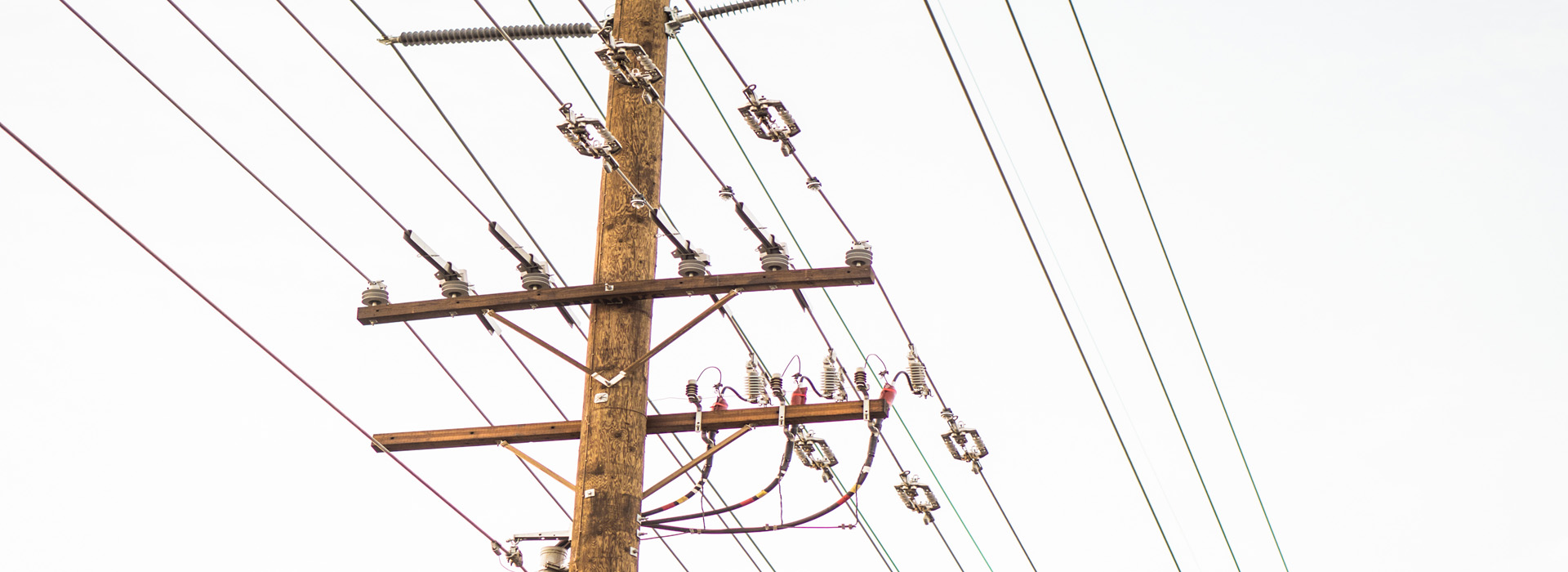 The Wolff Computer Group