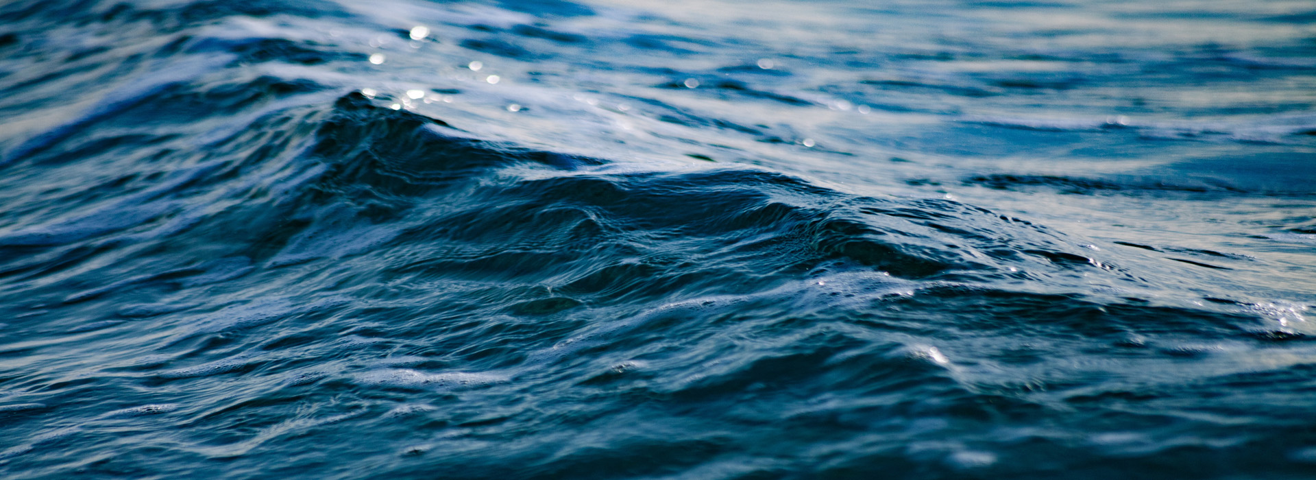 The Wolff Computer Group